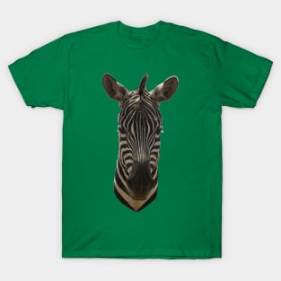 Zebra Portrait T-Shirt